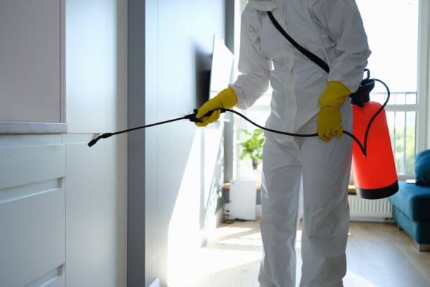 Best Mold Odor Removal Services  in Woodlawn, MD